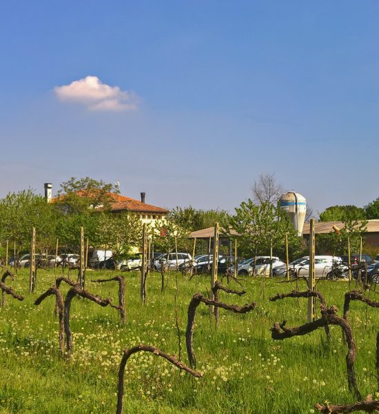 2017-04-09 Cena di primavera all’agriturismo “Da Noemi”
